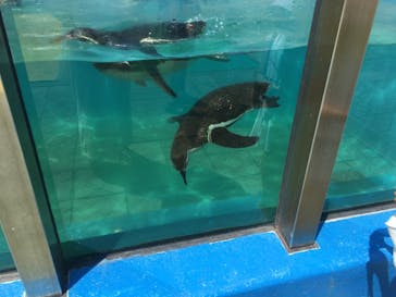 南知多ビーチランド＆南知多おもちゃ王国に投稿された画像（2021/7/24）