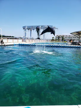 横浜・八景島シーパラダイスに投稿された画像（2021/7/24）