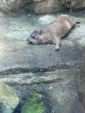 天王寺動物園に投稿された画像（2021/7/24）