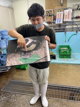 南知多ビーチランド＆南知多おもちゃ王国に投稿された画像（2021/7/24）