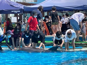 南知多ビーチランド＆南知多おもちゃ王国に投稿された画像（2021/7/24）