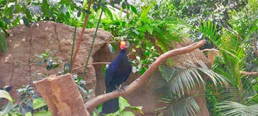 神戸どうぶつ王国に投稿された画像（2021/7/24）