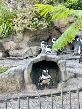 サンシャイン水族館に投稿された画像（2021/7/24）