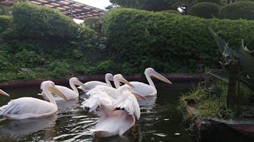 伊豆シャボテン動物公園に投稿された画像（2021/7/24）