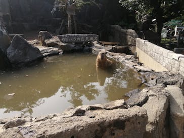 伊豆シャボテン動物公園に投稿された画像（2021/7/24）