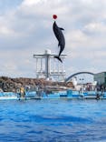 名古屋港水族館に投稿された画像（2021/7/24）