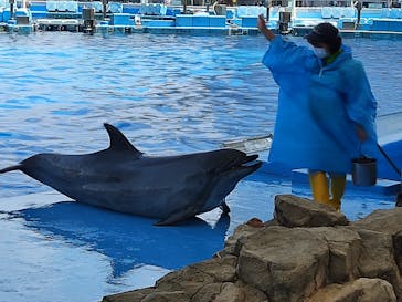 名古屋港水族館に投稿された画像（2021/7/24）