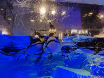 すみだ水族館に投稿された画像（2021/7/24）