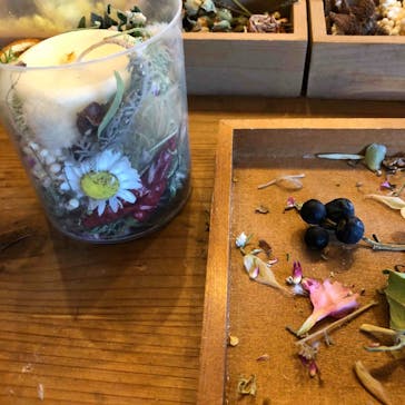 une graine（アングレンヌ）に投稿された画像（2021/7/24）