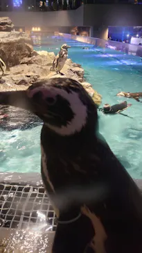 すみだ水族館に投稿された画像（2021/7/24）