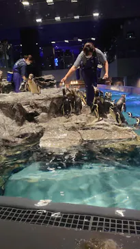 すみだ水族館に投稿された画像（2021/7/24）