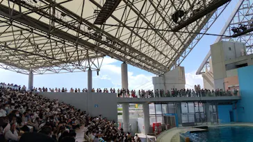 横浜・八景島シーパラダイスに投稿された画像（2021/7/24）