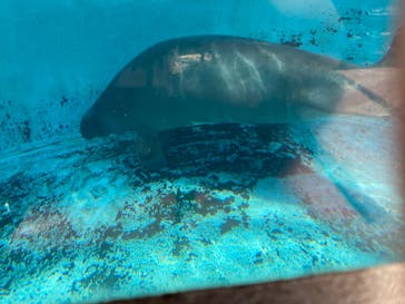 熱川バナナワニ園に投稿された画像（2021/7/24）