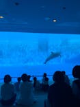 名古屋港水族館に投稿された画像（2021/7/24）