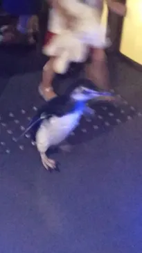 すみだ水族館に投稿された画像（2021/7/24）