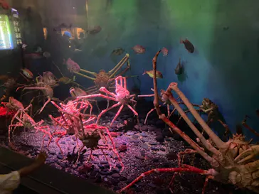 横浜・八景島シーパラダイスに投稿された画像（2021/7/24）