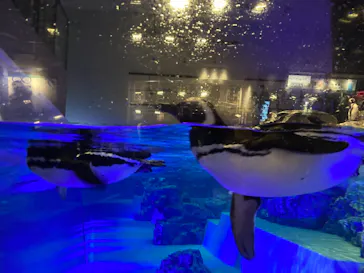 すみだ水族館に投稿された画像（2021/7/24）