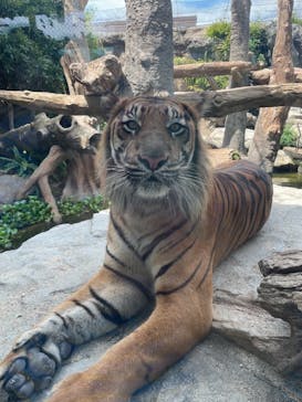 神戸どうぶつ王国に投稿された画像（2021/7/24）