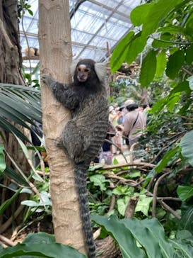 神戸どうぶつ王国に投稿された画像（2021/7/24）