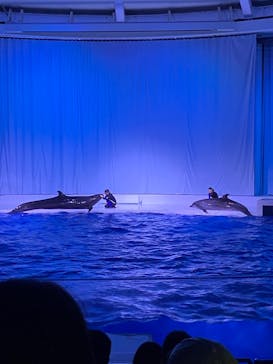 アクアワールド茨城県大洗水族館に投稿された画像（2021/7/24）