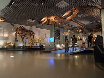 国立科学博物館に投稿された画像（2021/7/24）