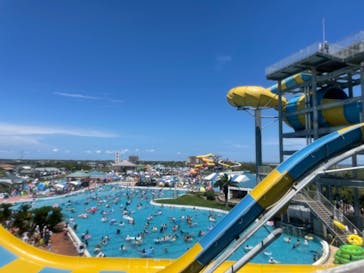 蓮沼ウォーターガーデンに投稿された画像（2021/7/24）