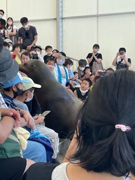 南知多ビーチランド＆南知多おもちゃ王国に投稿された画像（2021/7/24）