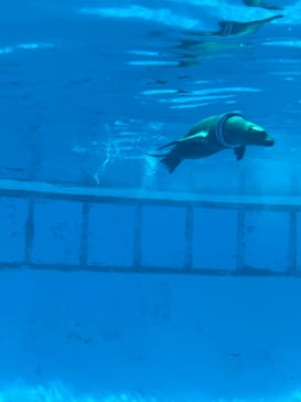 南知多ビーチランド＆南知多おもちゃ王国に投稿された画像（2021/7/24）