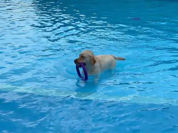 わんダフルネイチャーヴィレッジに投稿された画像（2021/7/24）