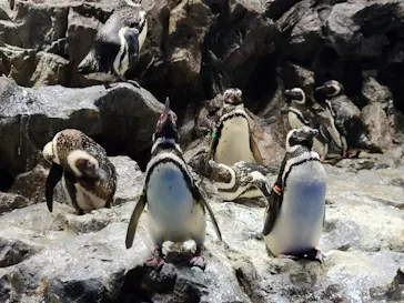 すみだ水族館に投稿された画像（2021/7/24）