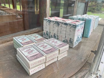 江戸東京たてもの園に投稿された画像（2021/7/24）