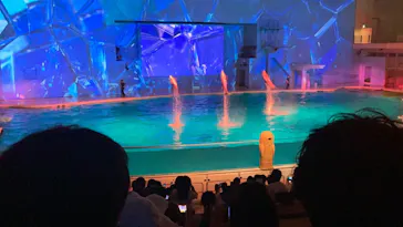 横浜・八景島シーパラダイスに投稿された画像（2021/7/24）