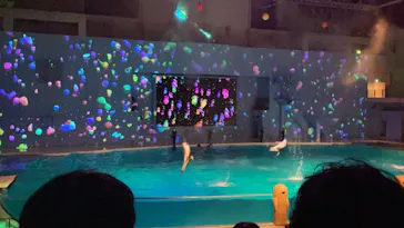 横浜・八景島シーパラダイスに投稿された画像（2021/7/24）