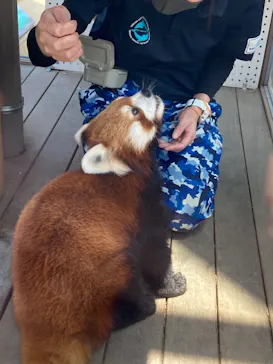 横浜・八景島シーパラダイスに投稿された画像（2021/7/24）