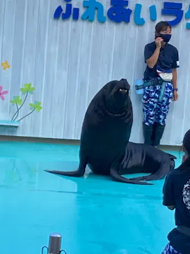 横浜・八景島シーパラダイスに投稿された画像（2021/7/24）