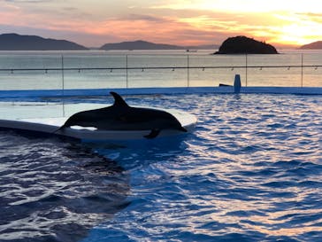 四国水族館に投稿された画像（2021/7/24）