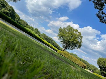 国営昭和記念公園 秋の夜散歩に投稿された画像（2021/7/24）