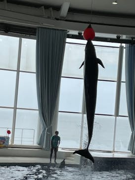 アクアワールド茨城県大洗水族館に投稿された画像（2021/7/24）