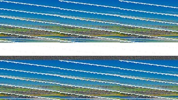 蓮沼ウォーターガーデンに投稿された画像（2021/7/24）