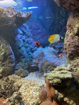 株式会社Gに投稿された画像（2021/7/24）