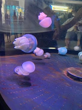 株式会社Gに投稿された画像（2021/7/24）