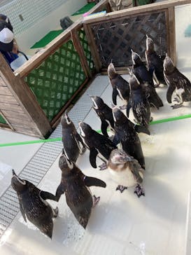 株式会社Gに投稿された画像（2021/7/24）