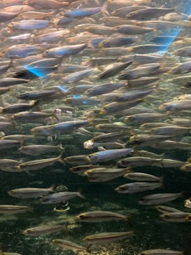 株式会社Gに投稿された画像（2021/7/24）