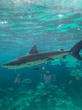 株式会社Gに投稿された画像（2021/7/24）