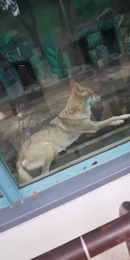 天王寺動物園に投稿された画像（2021/7/24）