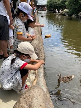 神戸どうぶつ王国に投稿された画像（2021/7/24）