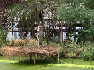 神戸どうぶつ王国に投稿された画像（2021/7/24）