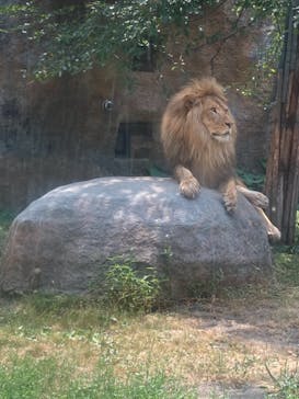旭川市旭山動物園に投稿された画像（2021/7/24）