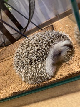 HARRY　横浜中華街店に投稿された画像（2021/7/24）