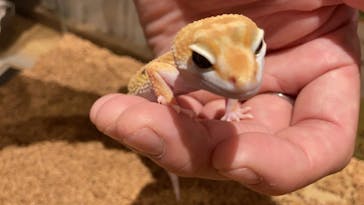 HARRY　横浜中華街店に投稿された画像（2021/7/24）